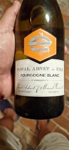 Burgundy Pascal Adnet et Fils Tradition Terroir 2016