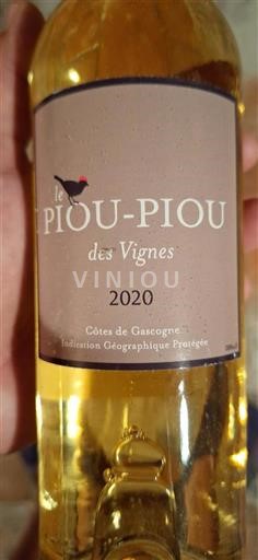 South West Côtes de Gascogne Des Vignes 2020