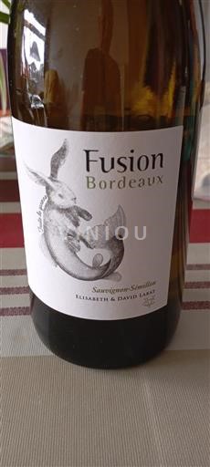 Bordeaux Elisabeth & David Labat Fusion Senza annata