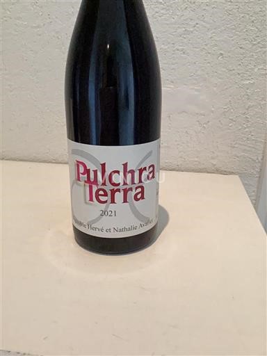 Thung lũng Rhône Côtes-du-rhône Pulchra Terra 2021