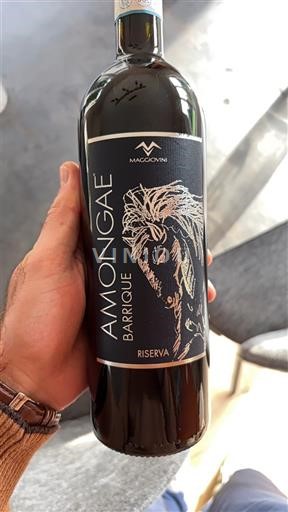 Sicily Not Specified Maggovani Amongae Barrique Riserva 2020