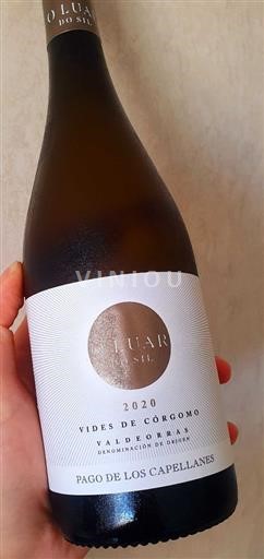 Galicia Valdeorras Pago de los Capellanes O Luar do Sil - Vides de Córgomo 2020