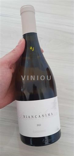 Marche Guerrieri Biancanima 2022