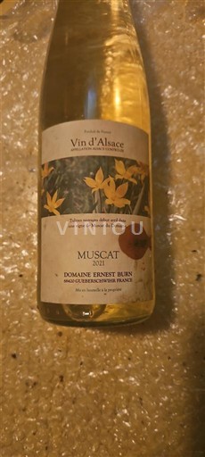 Alsace Muscat Domaine Ernest Burn Les Tulipes 2021