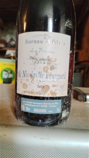 Valle del Loira Saint-Nicolas-De-Bourgueil Domaine Bureau & Fils Le Forlanc 2022