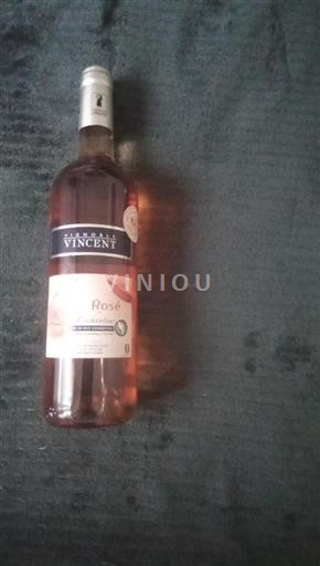 Jugozahod Côtes de Gascogne Vignoble Vincent Neleten.