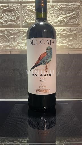 Toscana Bolgheri I Tirreni Beccaia 2022