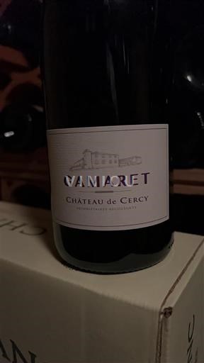 Burgundi Burgundin rinteet Château Cercy Gamaret 2020