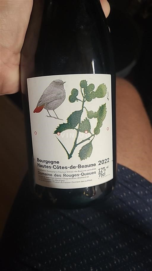 Burgundy Hautes-Côtes de Beaune Domaine Des Rouges Queues 2022