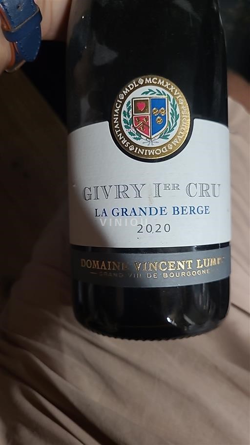 Borgonha Givry Premier Cru Domaine Vincent Lumé La Grande Berge 2020