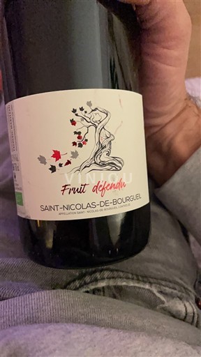 Thung lũng sông Loire Saint-Nicolas-De-Bourgueil Frédéric Mabileau Fruit defendu Không niên vụ