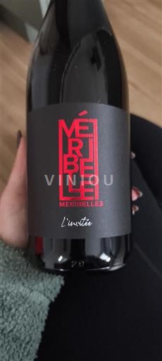 Loirevallei Saumur-champigny Domaine Les Méribelles L'invitée Niet-geïntegreerd