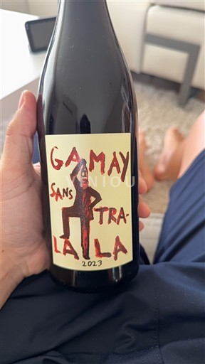 Dolina Loare Touraine Gamay Sans Tralala 2023
