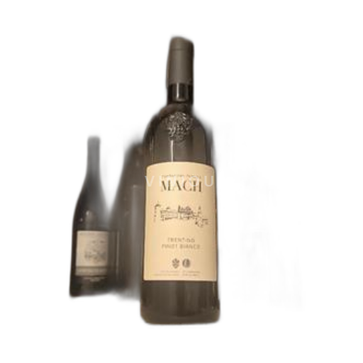 Trentino-Južna Tirolska Tridentinsko-Gornje Poadižje Fondazione Edmund Mach Pinot Bianco 2022