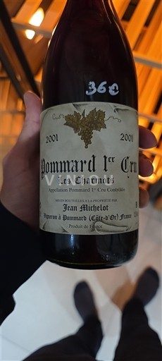 Bourgondië Niet gespecificeerd Premier Cru Jean Michelot Les Charmots 2001