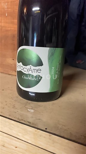 Sydväst Sudvästra Frankrike AntocyAme Chuturez! 2024