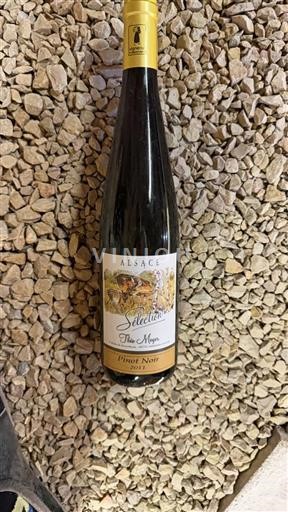 Alsace Théo Meyer Sélection 2011