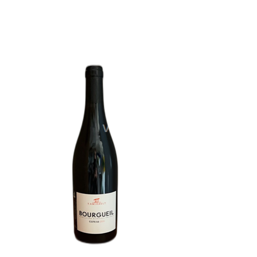 Bourgogne Y. Amirault Cote 50 2020