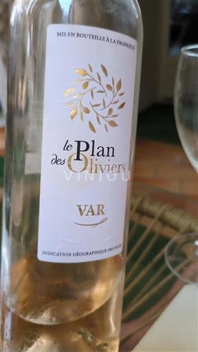 Provence, hạ lưu Rhône, Corse Var Le Plan des Oliviers Không niên vụ