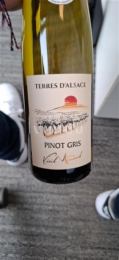 Alsace Terres Alsace 2023