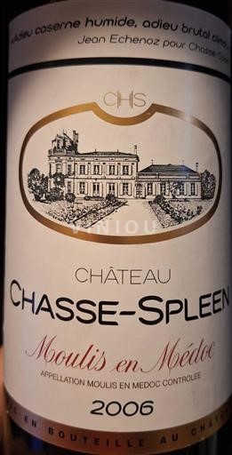 Bordeaux Moulis-en-Médoc Cru Bourgeois Exceptionnel Château Chasse Spleen 2006