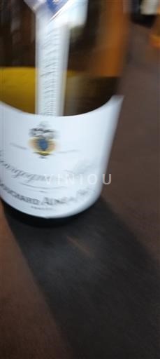 Bourgogne Bourgogne Aligoté Bouchard Aîné & Fils 2023
