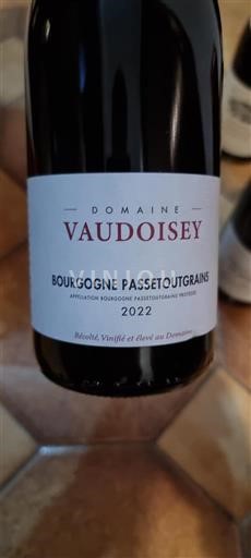 Burgundi Bourgogne-passetoutgrain Domaine Vaudoisey 2022