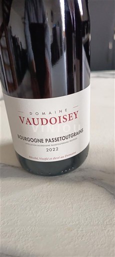 Bourgogne Bourgogne-passetoutgrain Domaine Vaudoisey 2022