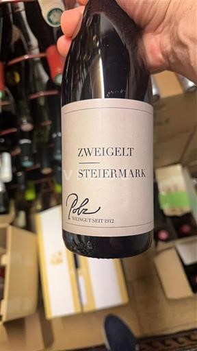 Steiermark Không được chỉ định Polz 2018