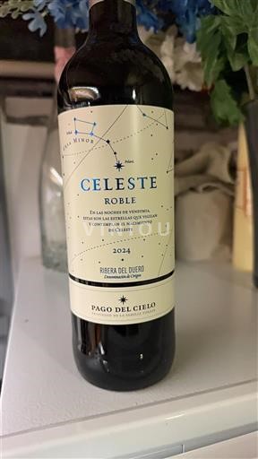 Castilien og León Ribera del Duero Pago del Cielo Celeste Roble 2024