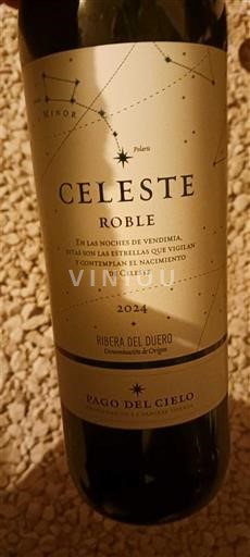 Castela e Leão Ribera del Duero Pago del Cielo Celeste Roble 2024