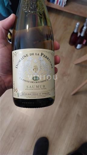 Loiren laakso Saumur Domaine La Perruche La Pente des Roches 2019
