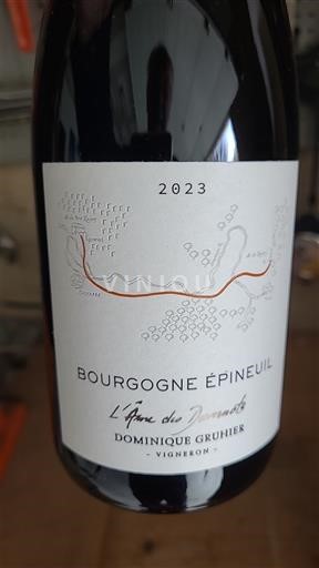 Bourgogne Bourgogne Epineuil Dominique Gruhier L'Âme des Damnés 2023