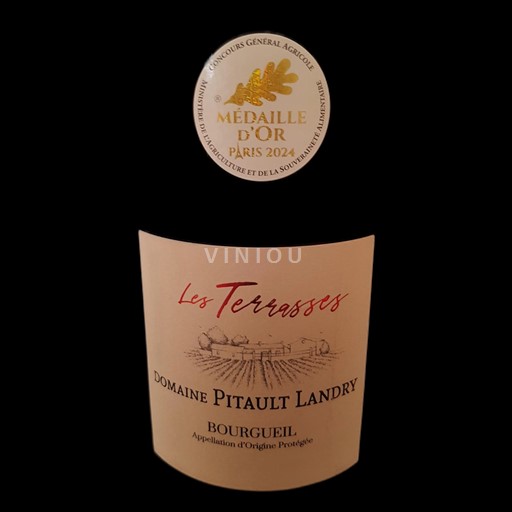 Thung lũng sông Loire Bourgueil Domaine Pitault Landry Les Terrasses 2023