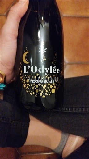 Rhônen laakso Rhône-laakso L'Odylée Noctam Bulles 2025