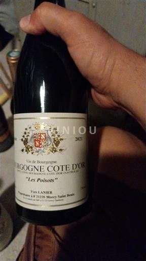 Burgundy Burgundy Côte d'Or Yves Lanier Les Poisots 2021