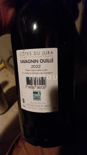Jura Côtes du Jura Domaine Michel Thibaut Savagnin Ouillé 2022