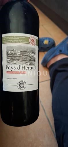 Languedoc Ospecificerad Terre de Ciel Icke årgångsbetecknad