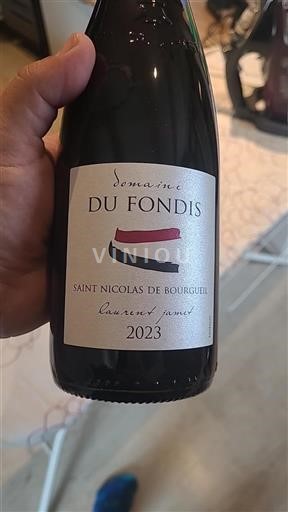 Loiren laakso Saint-Nicolas-De-Bourgueil Domaine Fondis Laurent Jamet 2023