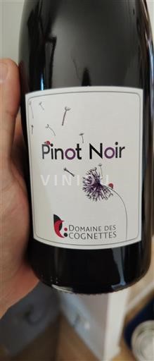 Vallée de la Loire Domaine Des Cognettes Pinot Noir 2023