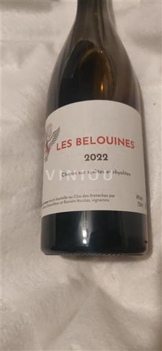 Thung lũng sông Loire Coteaux-d'ancenis Clos des Bretèches Les Belouines 2022