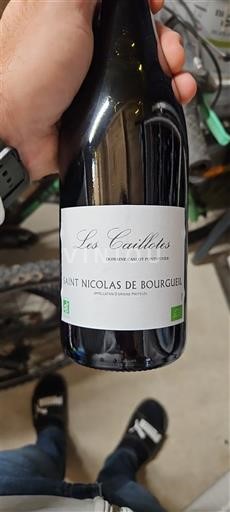Loire-dalen Saint-Nicolas-De-Bourgueil Domaine Cassé Pontoizeau Les Caillotes 2024