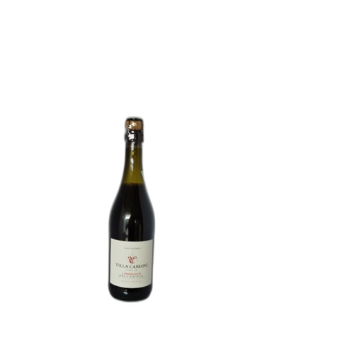 Emilia-Romagna Không được chỉ định Villa Cardini Lambrusco Không niên vụ