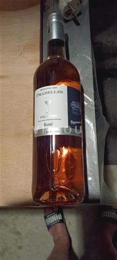 Sudoeste Fronton Domaine Des Pradelles 2024