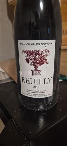 Thung lũng sông Loire Reuilly Jean-Charles Borgnat 2018