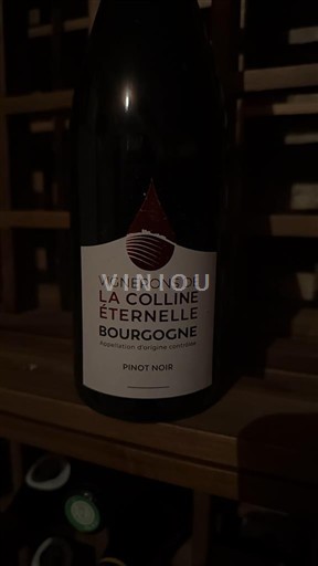 Burgundi Bourgogne Vignerons de la Colline Eternelle 2023