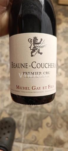 Bourgogne Premier Cru Michel Gay et Fils 2020