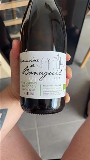 Sudoeste Côtes del Lot Domaine Bonaguil 2022