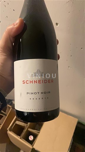 Hạ Áo Thermenregion Schneider Réserve 2021