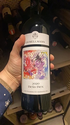 Burgenland Không được chỉ định Gesellmann Bela Rex 2020